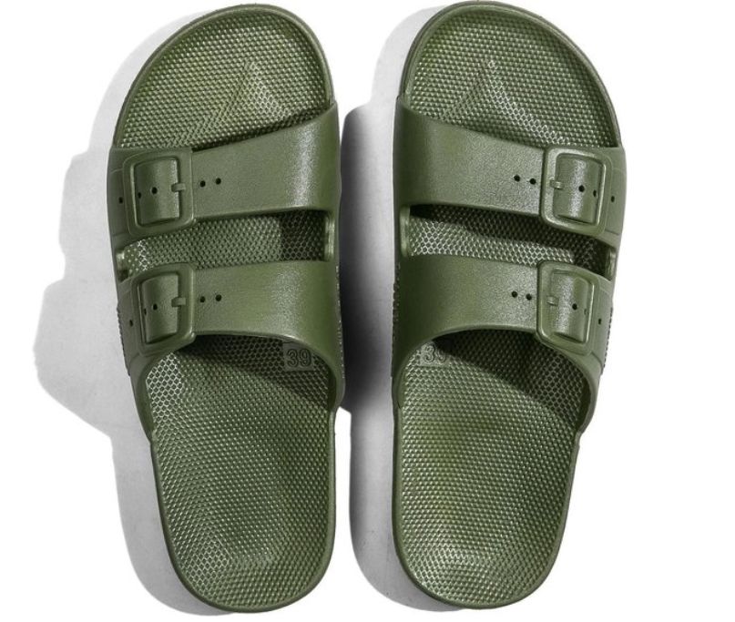 Moses slipper Cactus