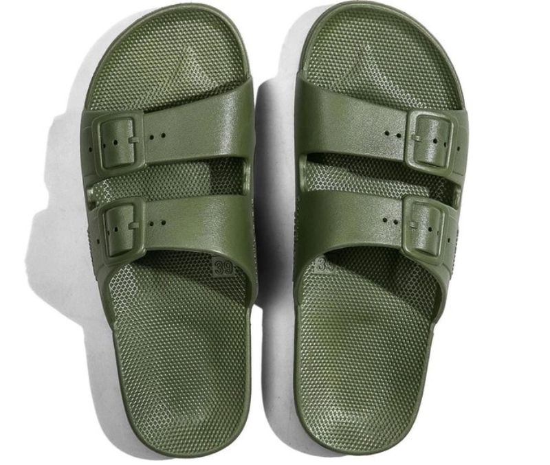 Moses slipper Cactus