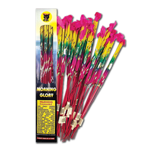 Morning Glory 16" 4pk single