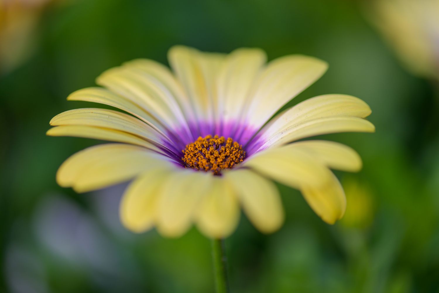 Depth of colors