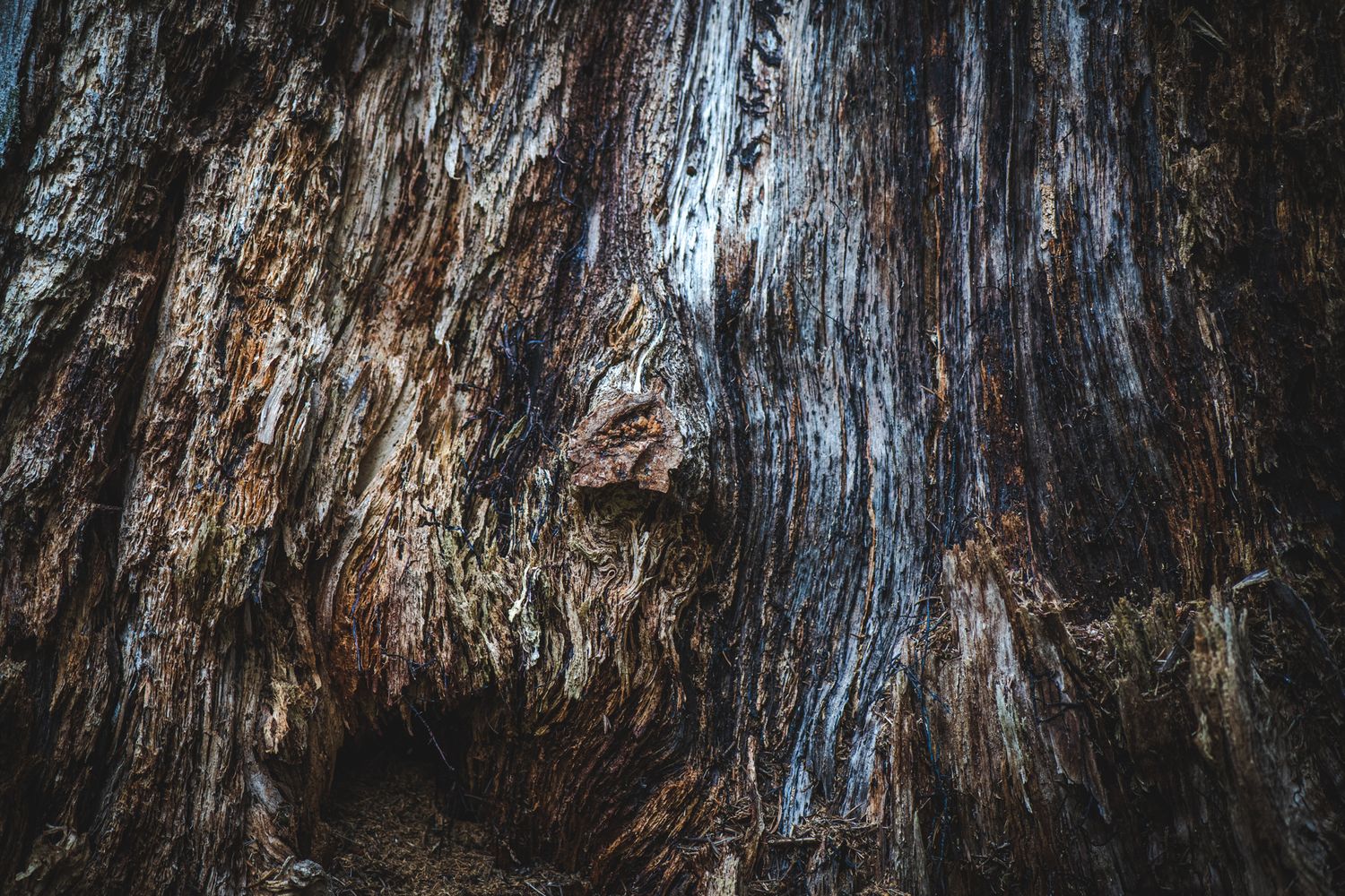 The art of decay