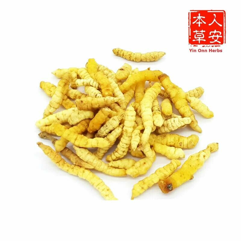 广西虫草 100gm GuangXi Cordyceps