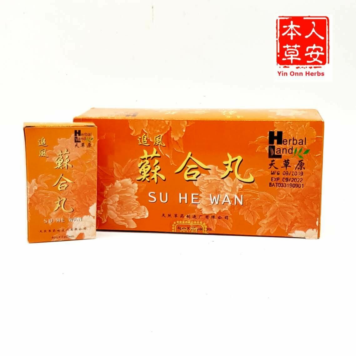 追风苏合丸 20小丸 ZhuiFung So Hup Pills (Small Pills)