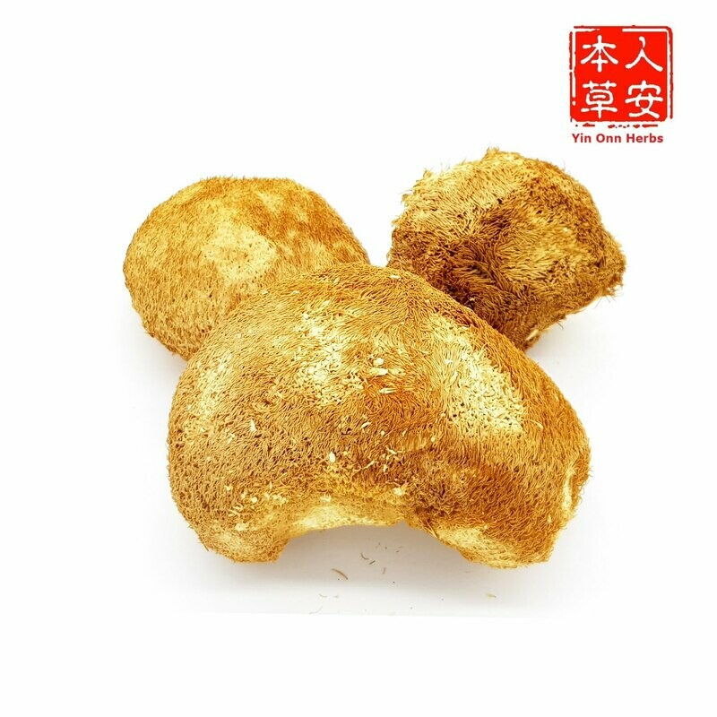猴头菇 100gm Monkey Head Mushroom