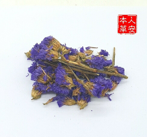 蓝色勿忘我 38gm Myosotis silvatica