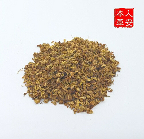浙江桂花 38gm Osmanthus fragrans (Thunb.) Lour.