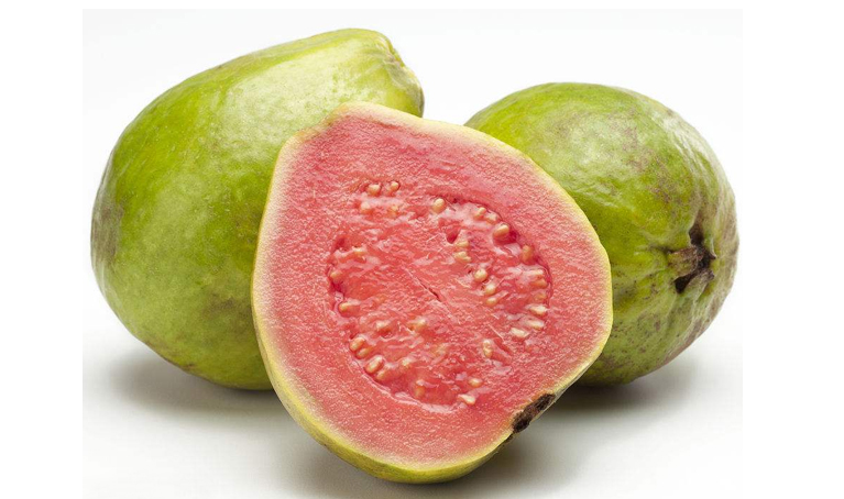 红番石榴片 100gmRed  Psidium guajava Linn.