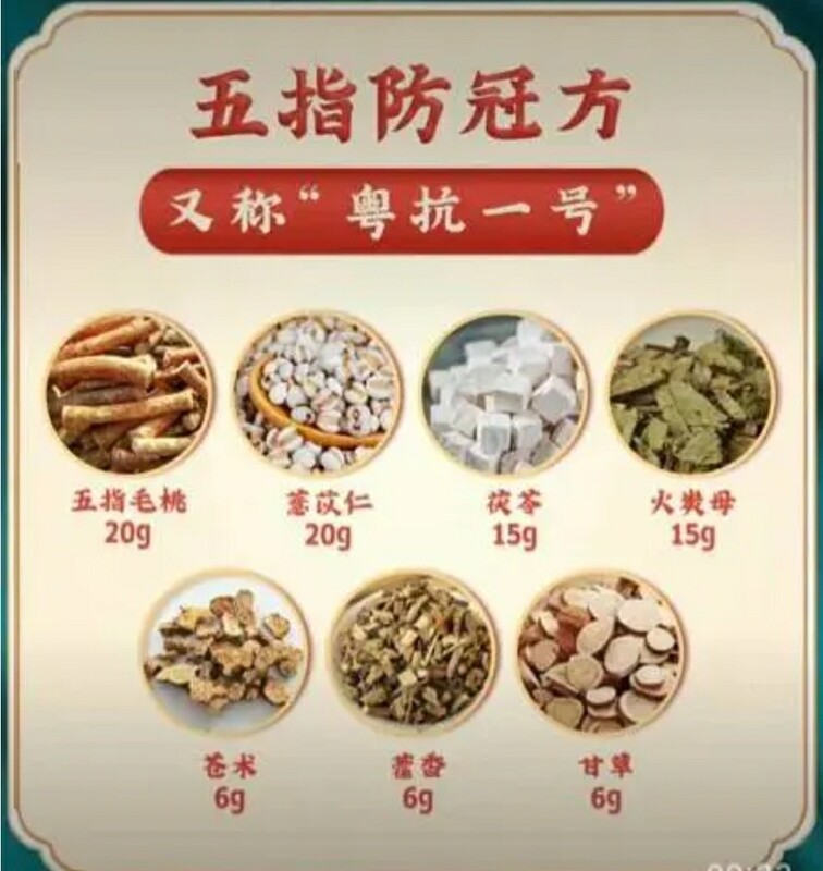 粤抗一号中药方 (流感预防方)