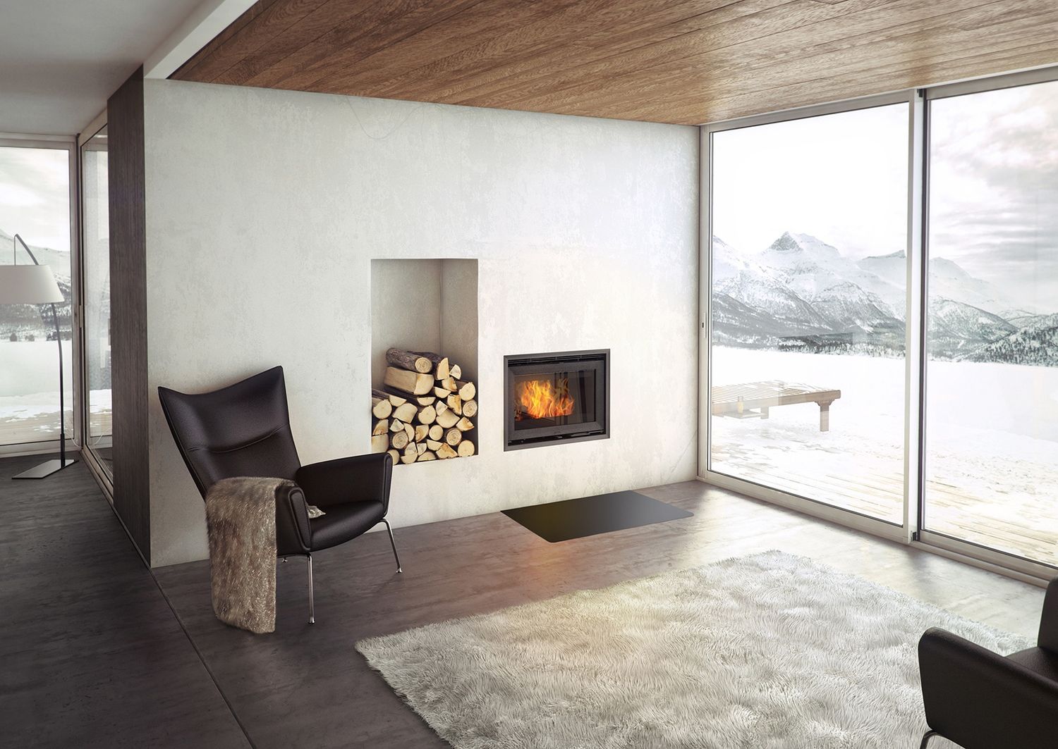 Jotul C24 Cassette Insert