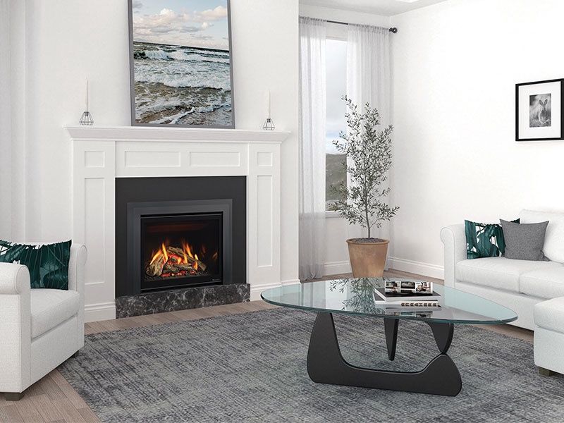 Regency GFi750 Greenfire Infusion