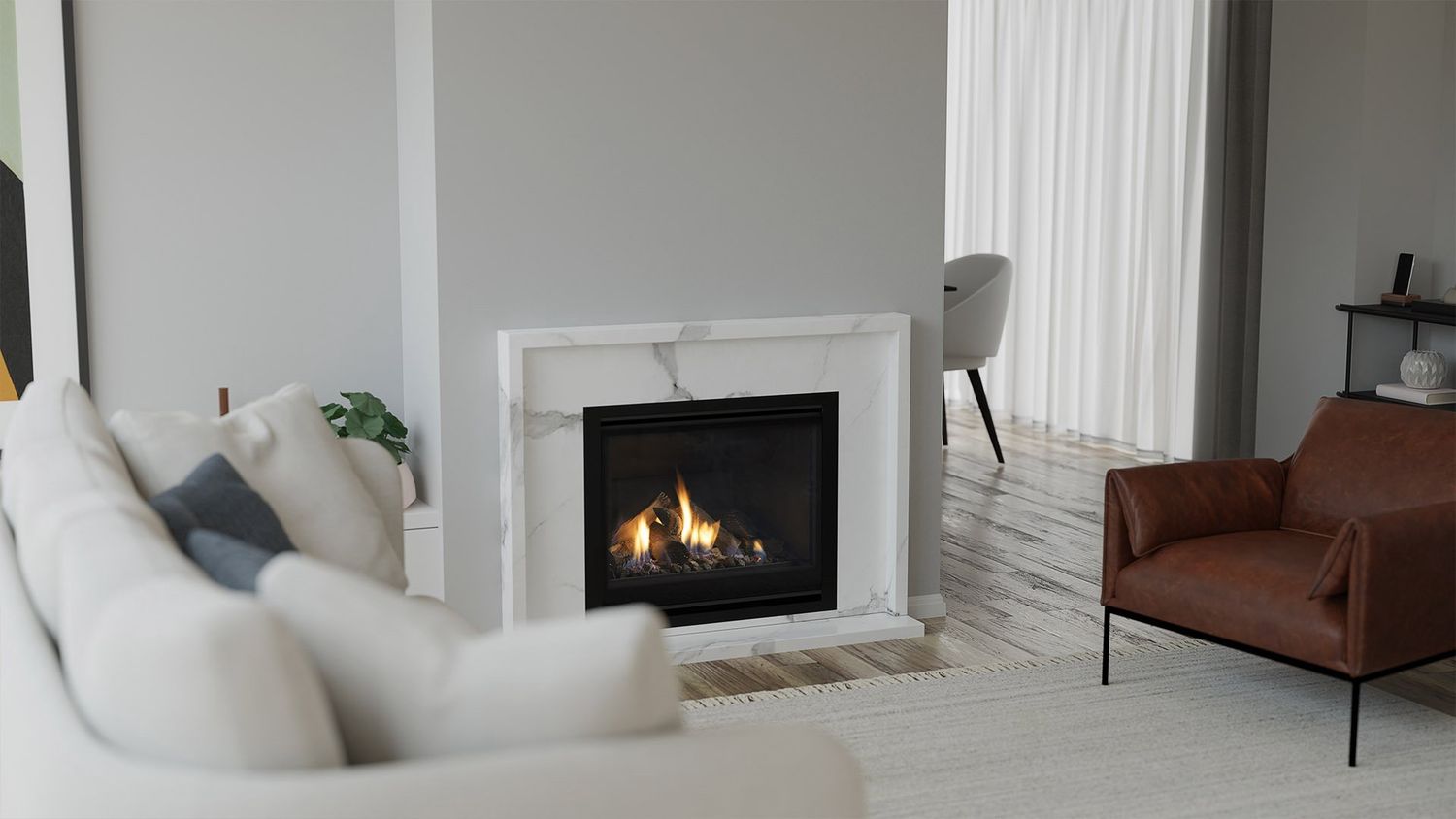 Escea DF Series Gas Fire Insert