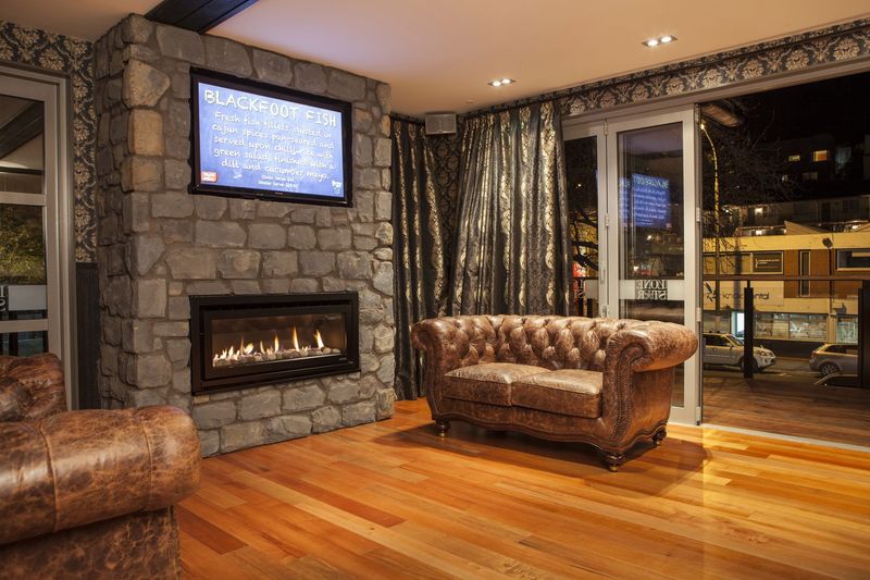 Escea DL Series Gas Fire Insert