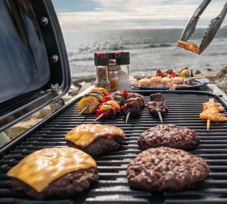 Weber Traveler Stealth Edition Portable (LPG)