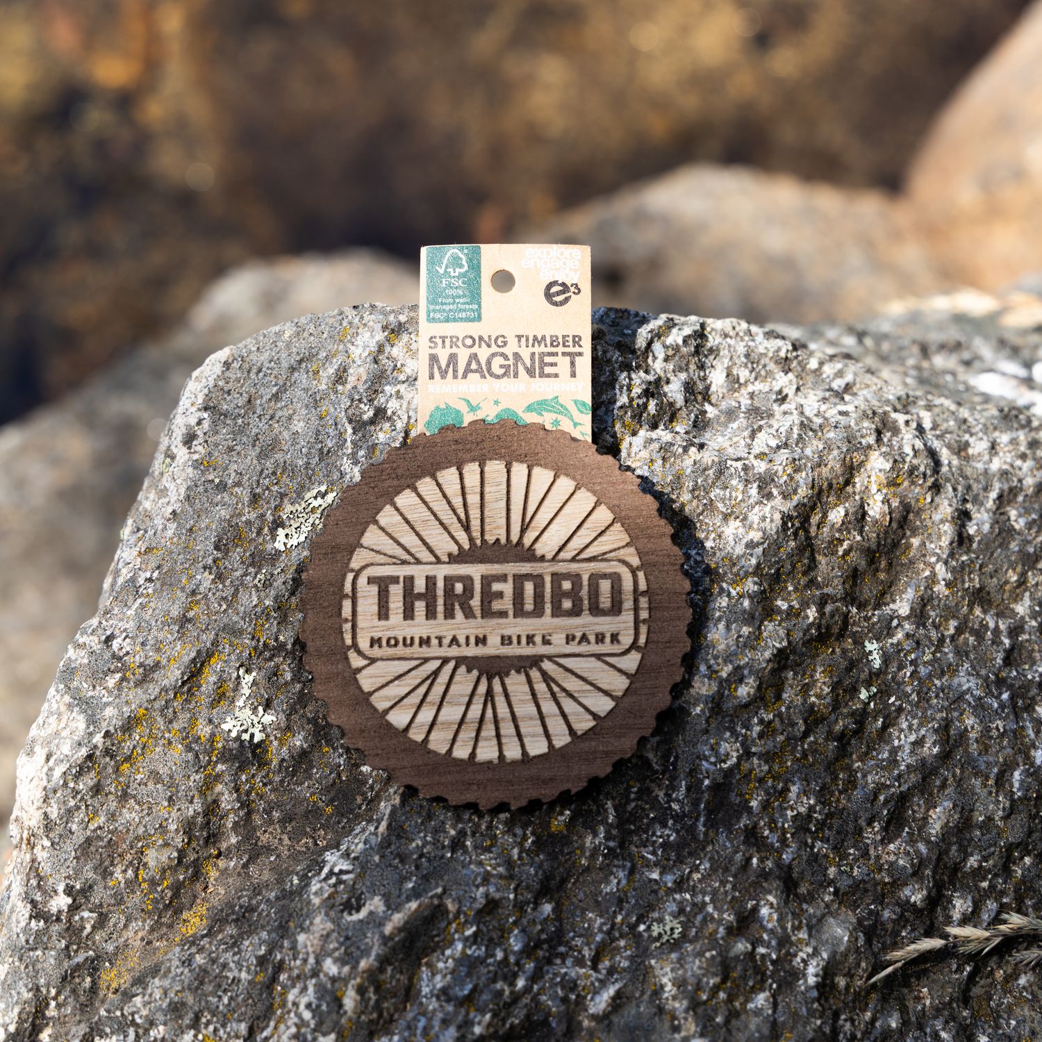 S22 Thredbo Bike Tire Circle