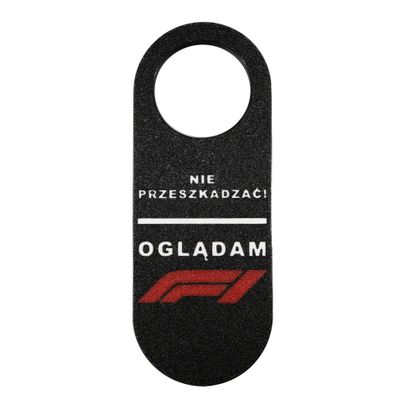 ZAWIESZKA &quot;OGLĄDAM F1&quot;