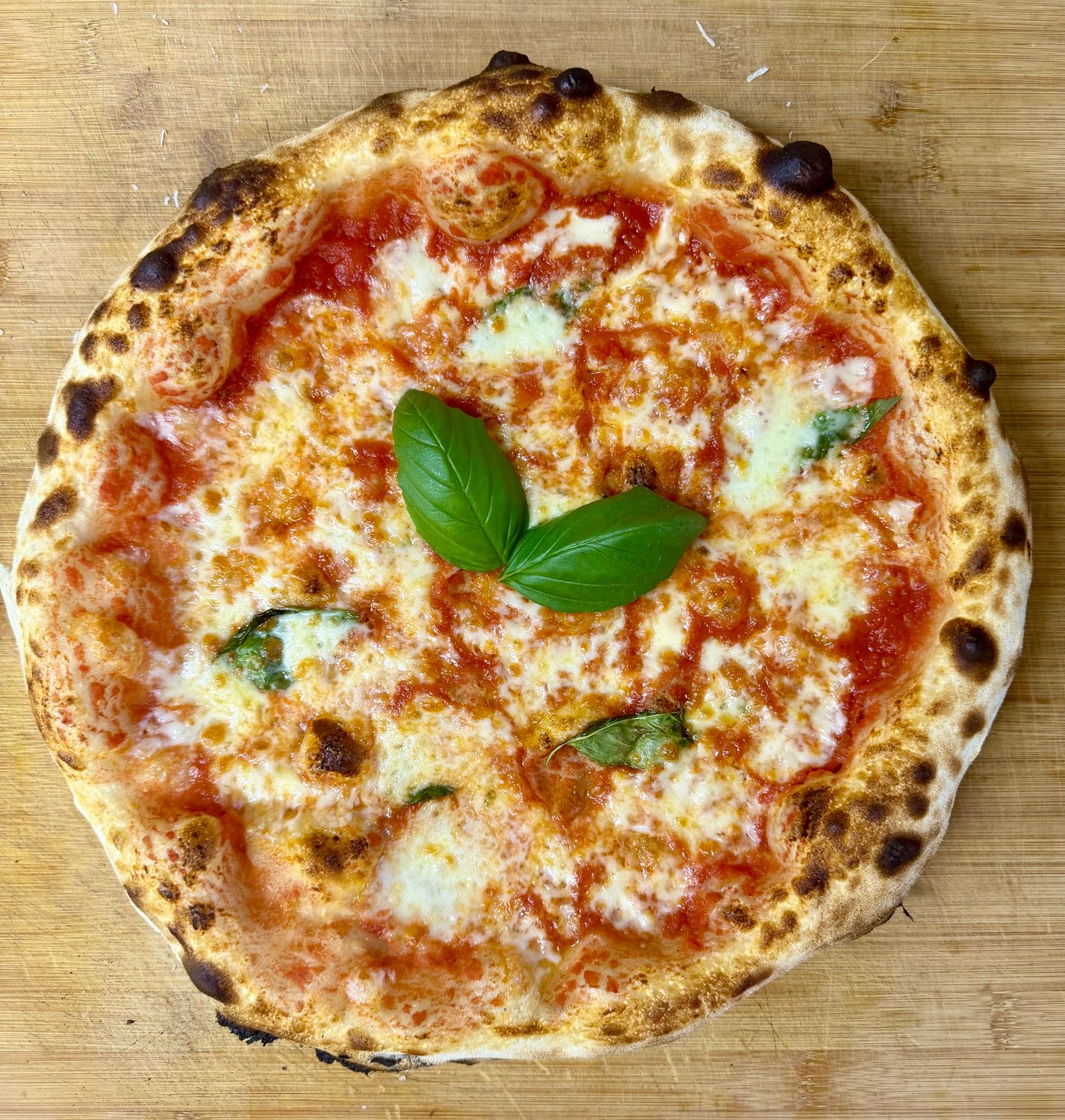 MOZZA FIOR DI LATTE