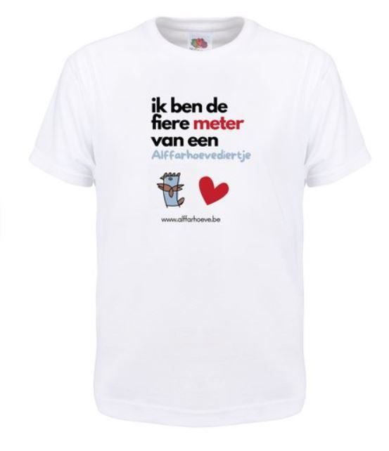 T Shirt Fiere Meter