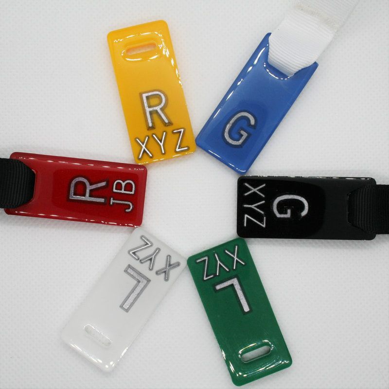 Large Solid Colour Markers