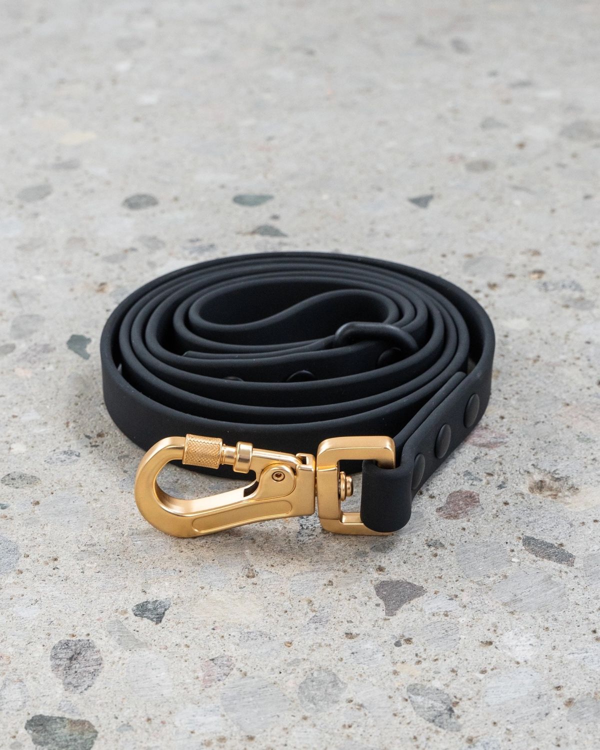 DEXYPAWS WATERPROOF DOG LEASH, COLOUR: BLACK