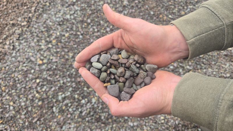 Gray Multi Color River Rock (1/2")