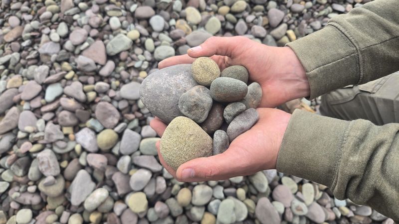 Gray Multi Color River Rock (1-3")