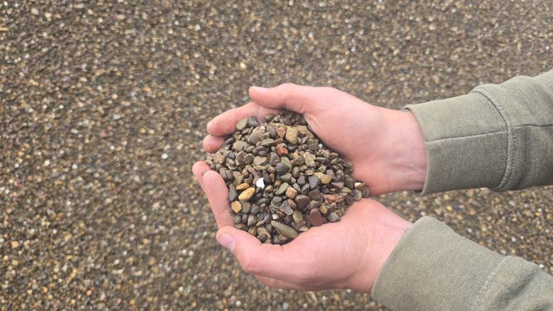 Tan Multi Color River Rock  (3/8")