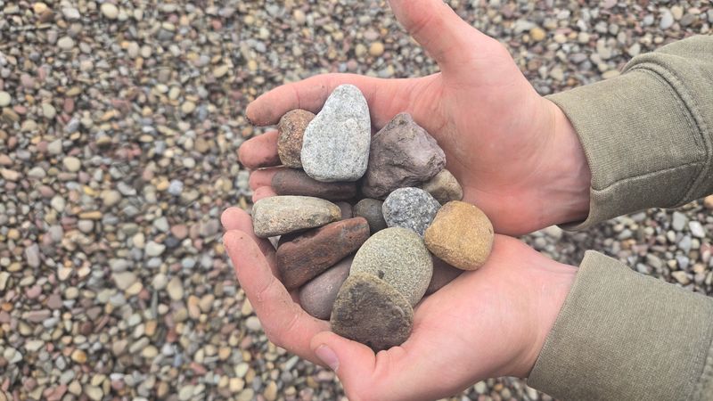 Dark Gray Multi Color River Rock (3/4")