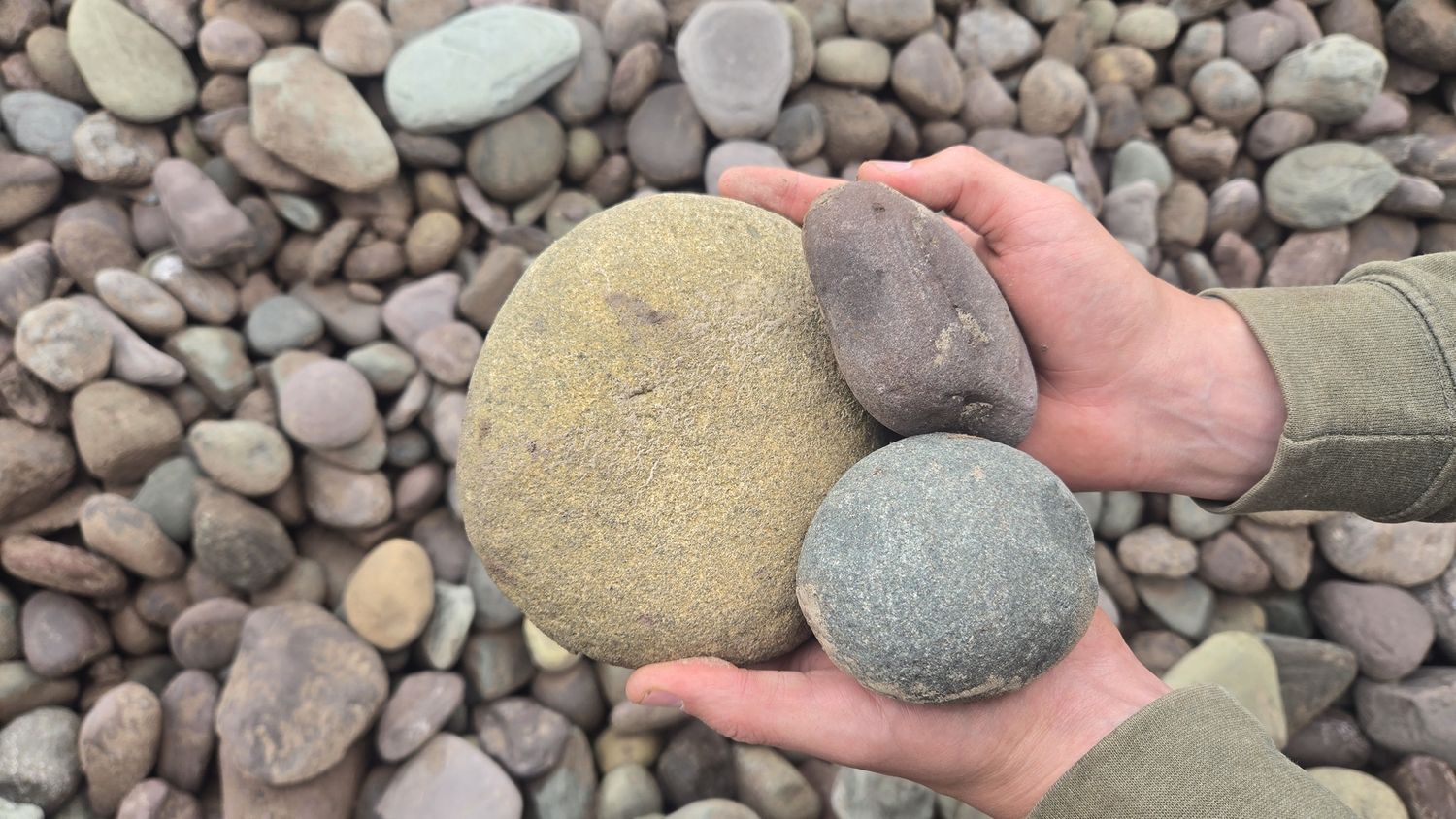 Gray Multi Color River Rock (4-6")