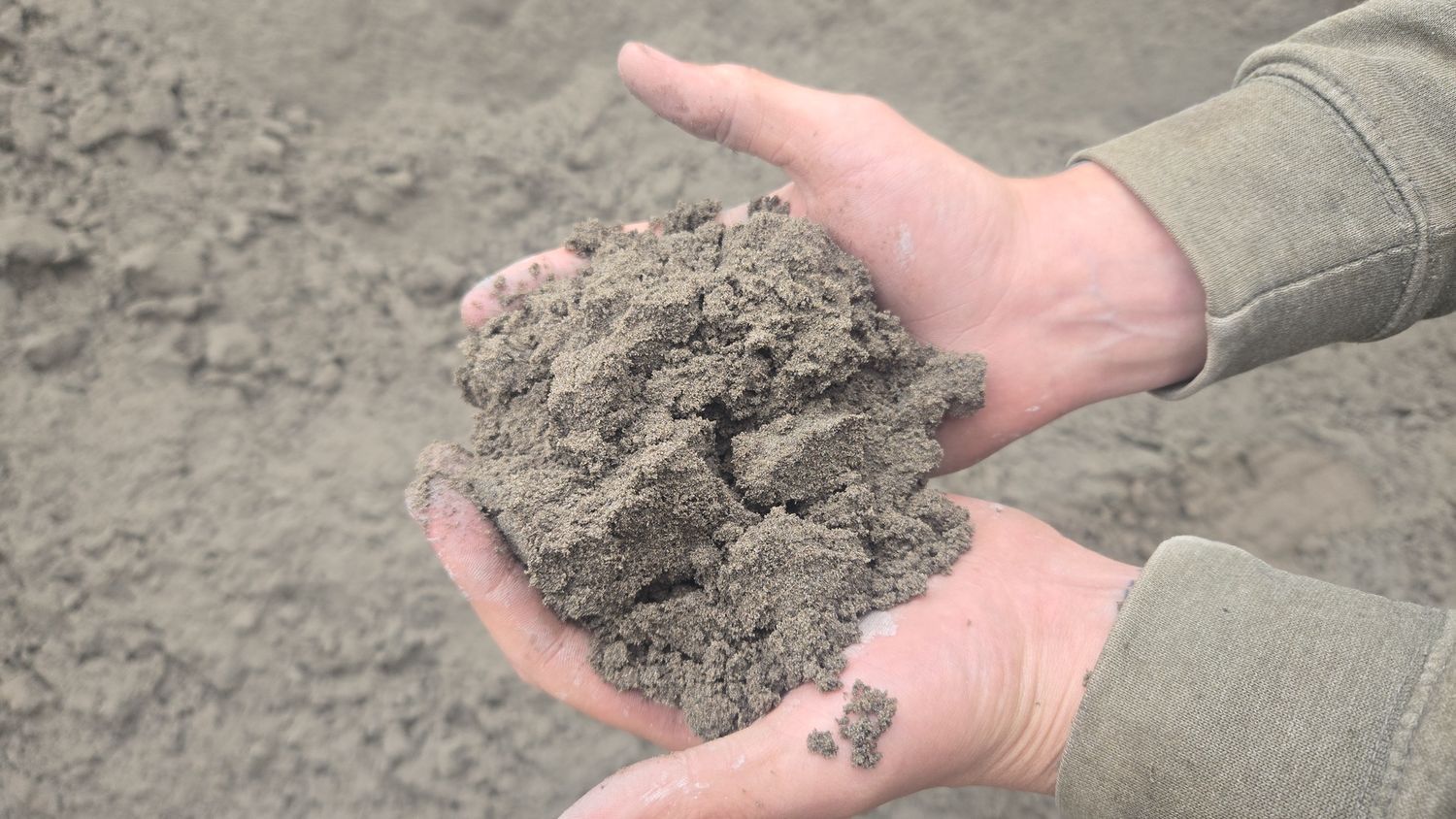 Mason Sand/Pool Sand