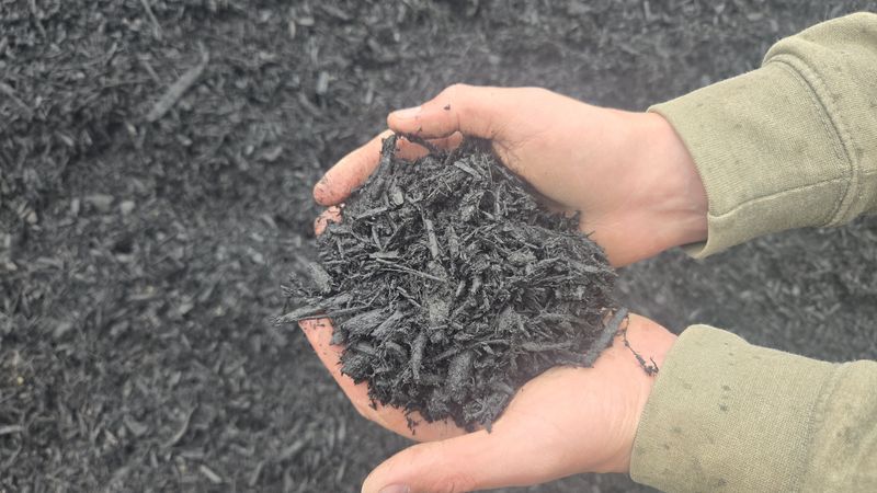 Mulch - Black
