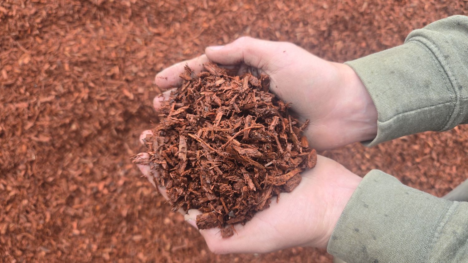 Mulch - Red