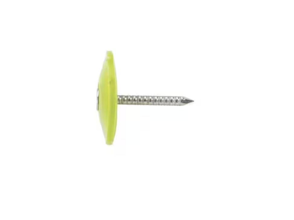 1 in. Electro Galvanized Ring Shank Nail with Plastic Cap (2000-Count)