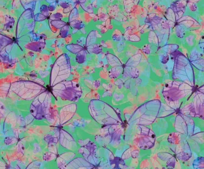 Butterfly Leotard