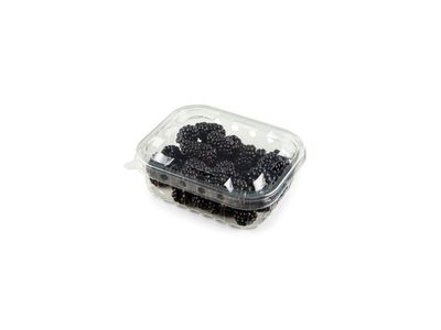 Food-to-go (ogu trauciņi ar vāku u.c.)