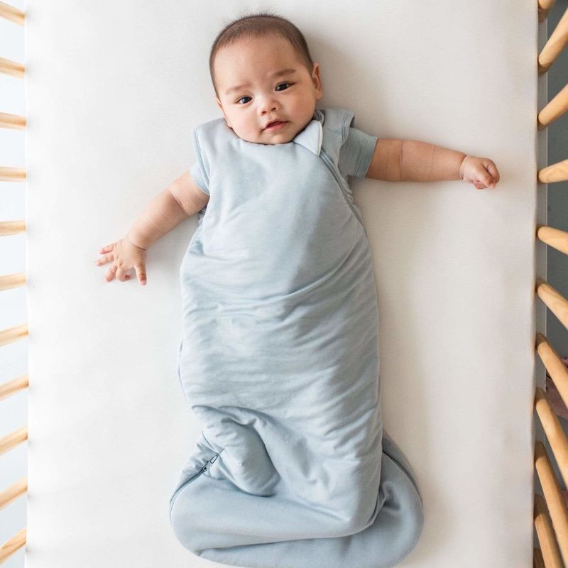 sleep bag 1.0- fog