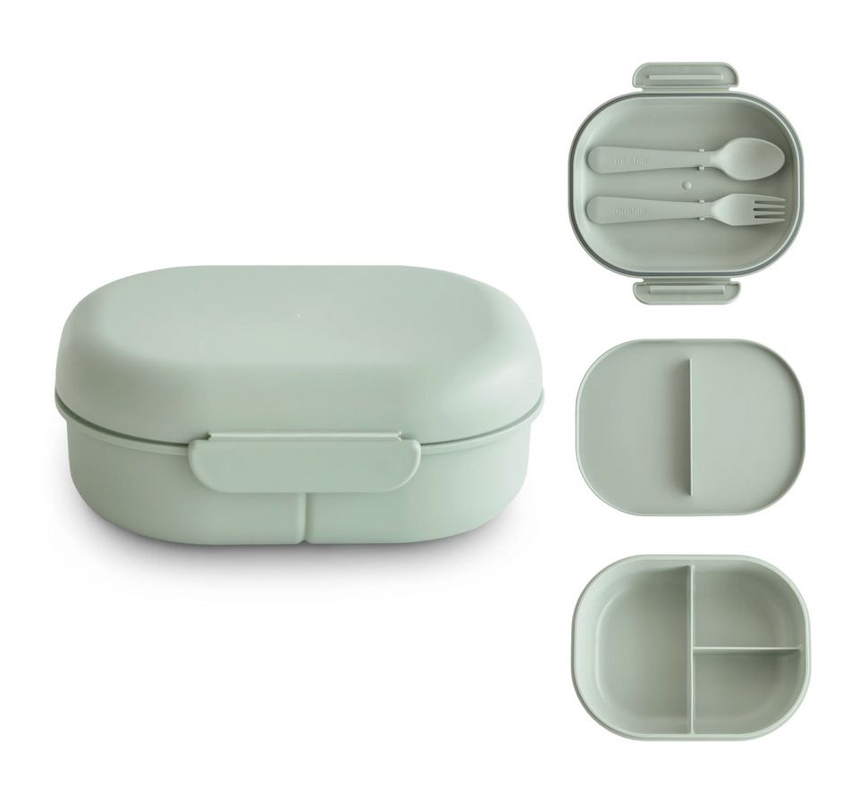 lunchbox