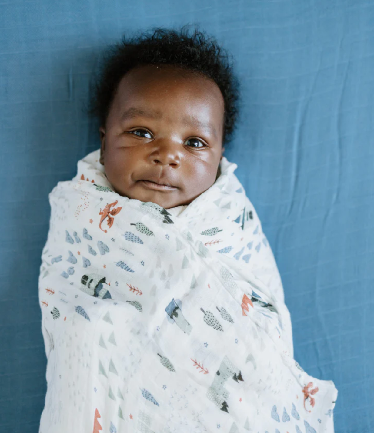 deluxe muslin swaddle- dragon days