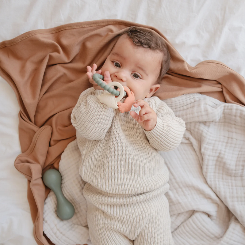 dino teething ring