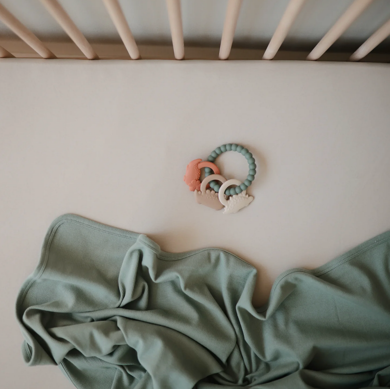 dino teething ring