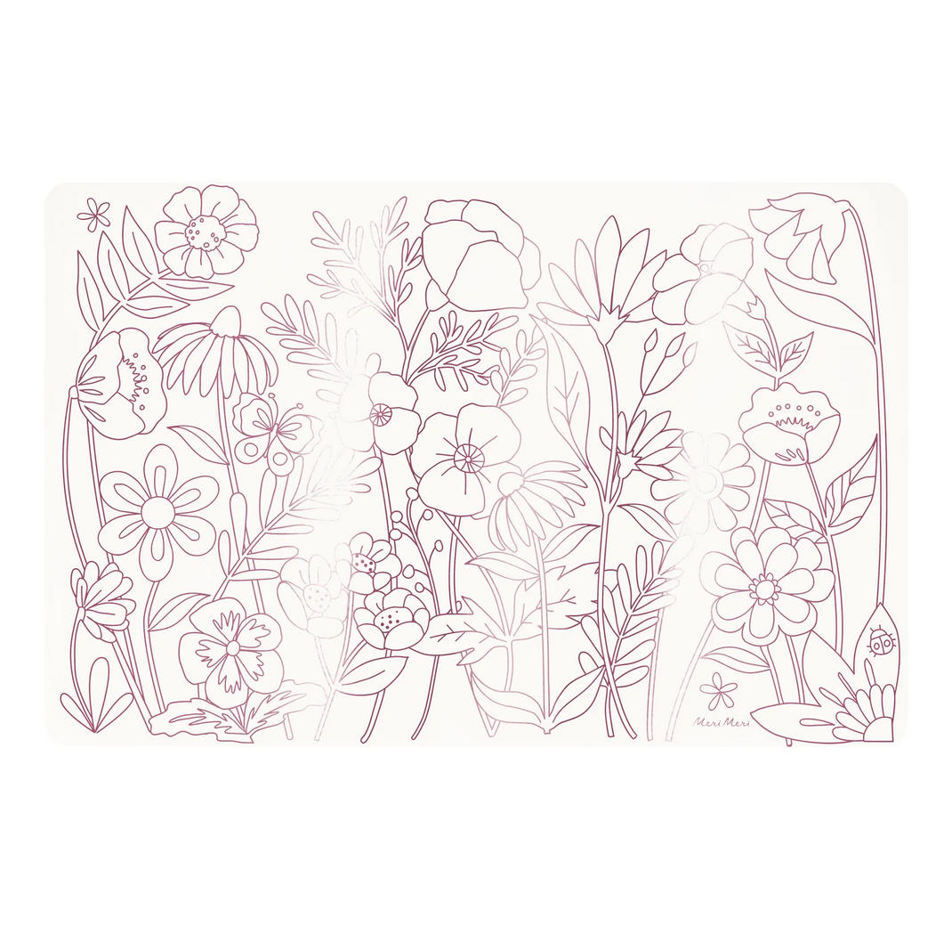 butterflies &amp; flowers coloring placemats
