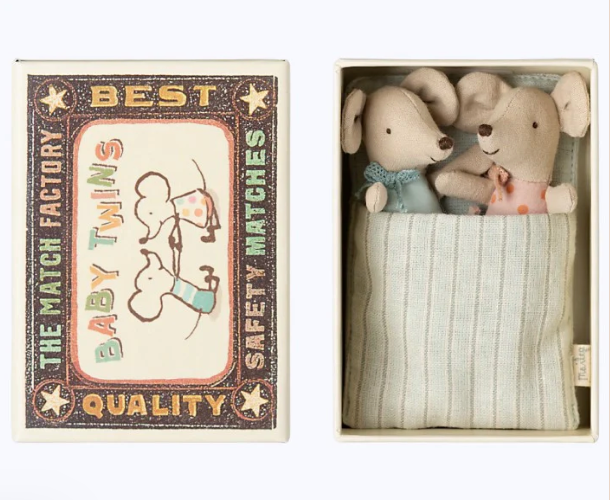 twins, baby mice in matchbox