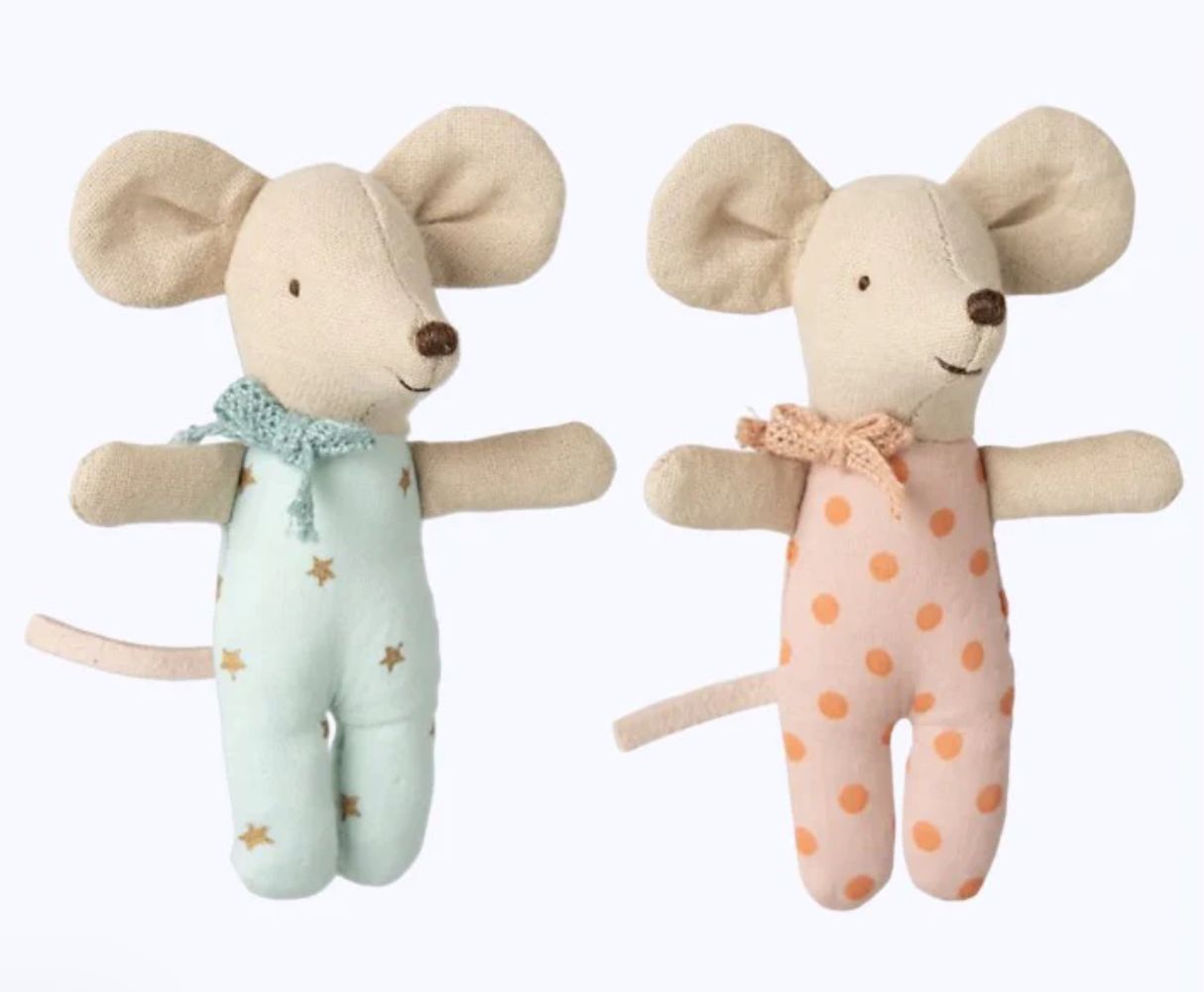twins, baby mice in matchbox