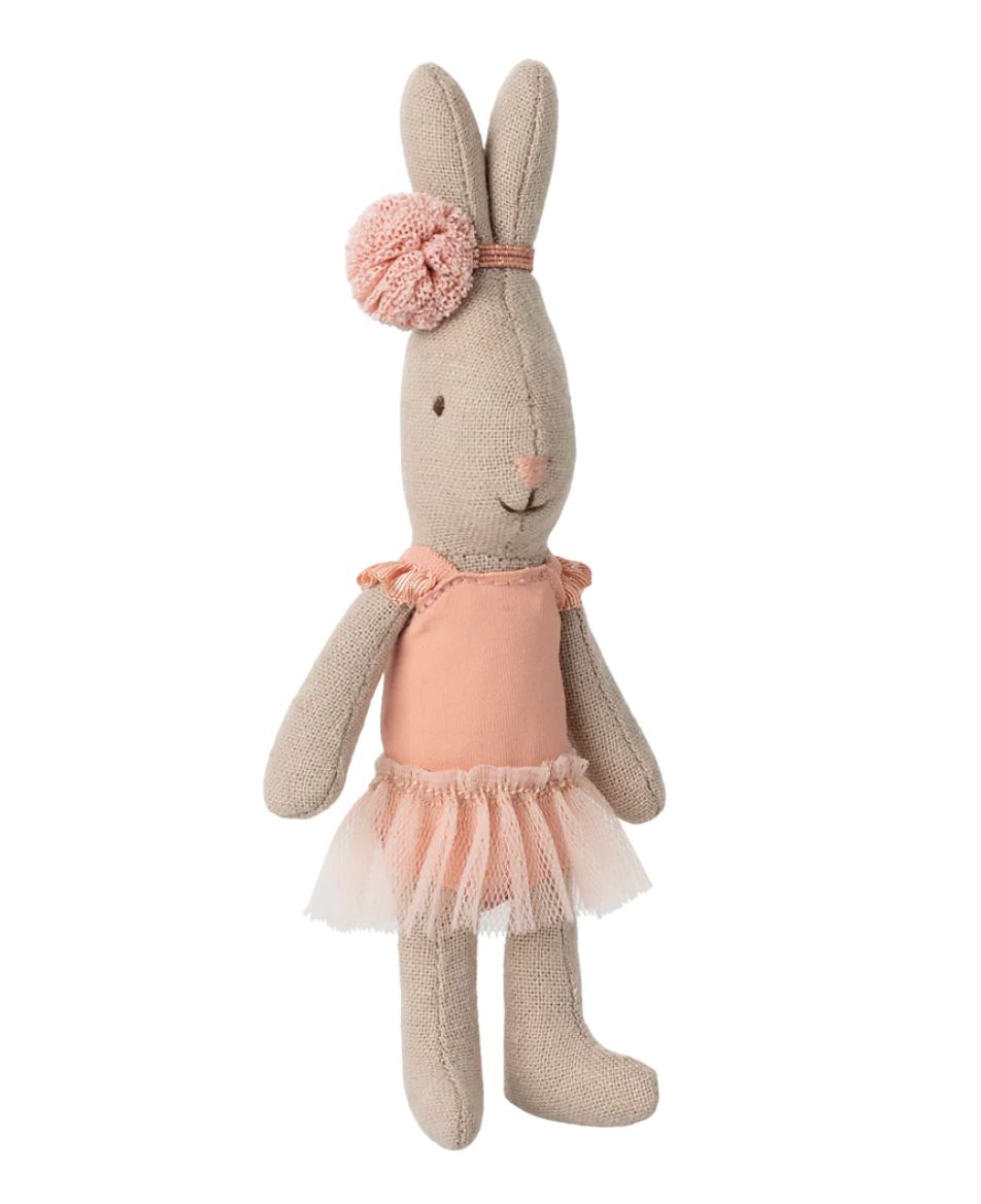 rabbit, micro- ballet suit