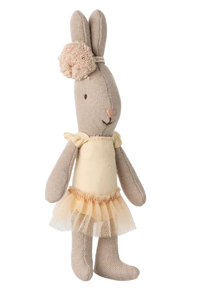 rabbit, micro- ballet suit