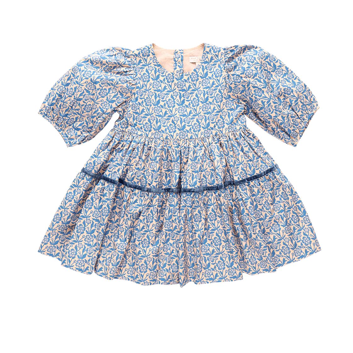 girls maribelle dress - blue climbing floral