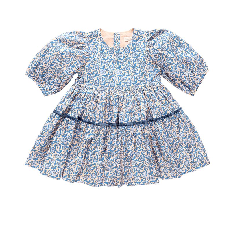 girls maribelle dress - blue climbing floral