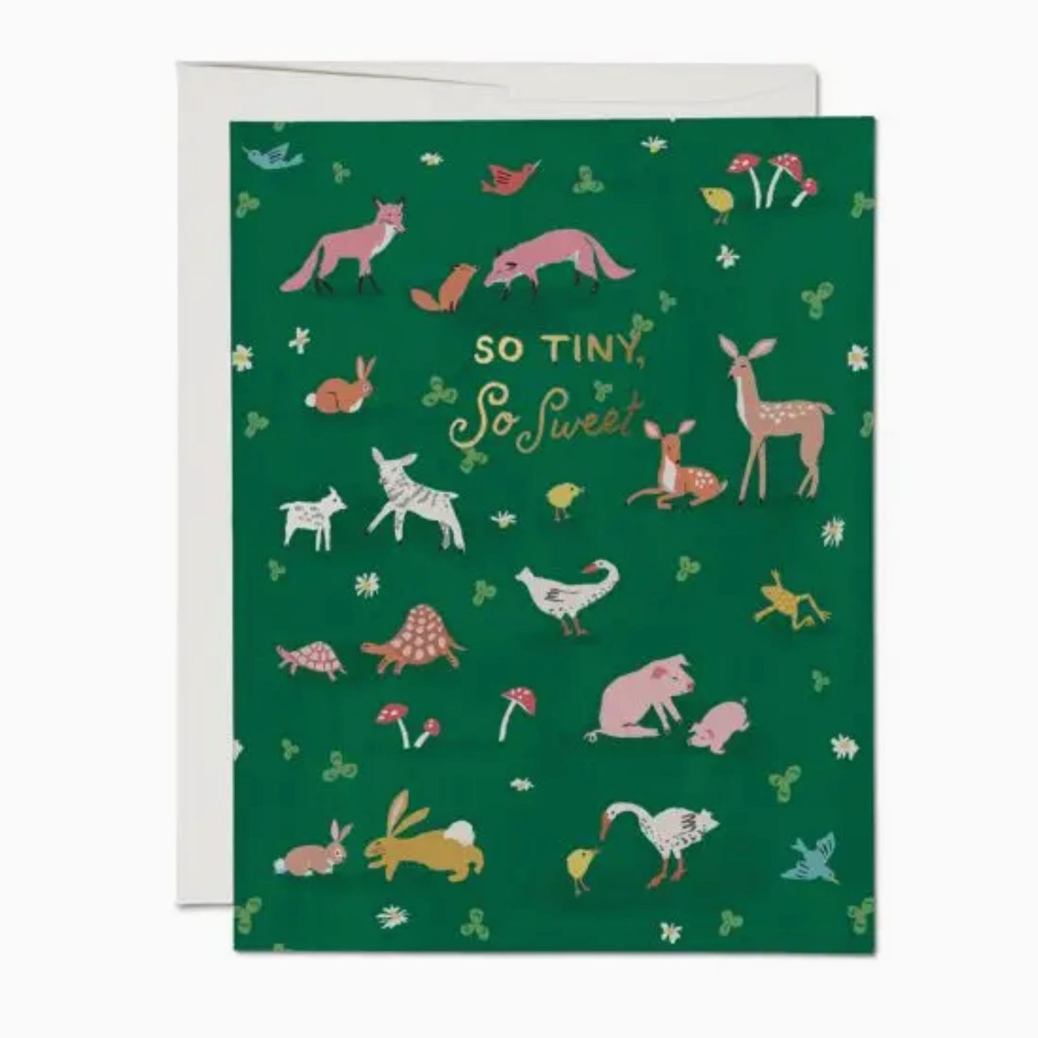 tiny animals card