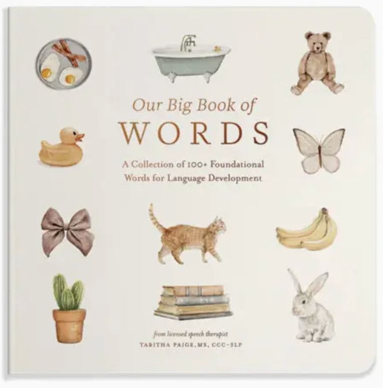 Our Big Book of First Words