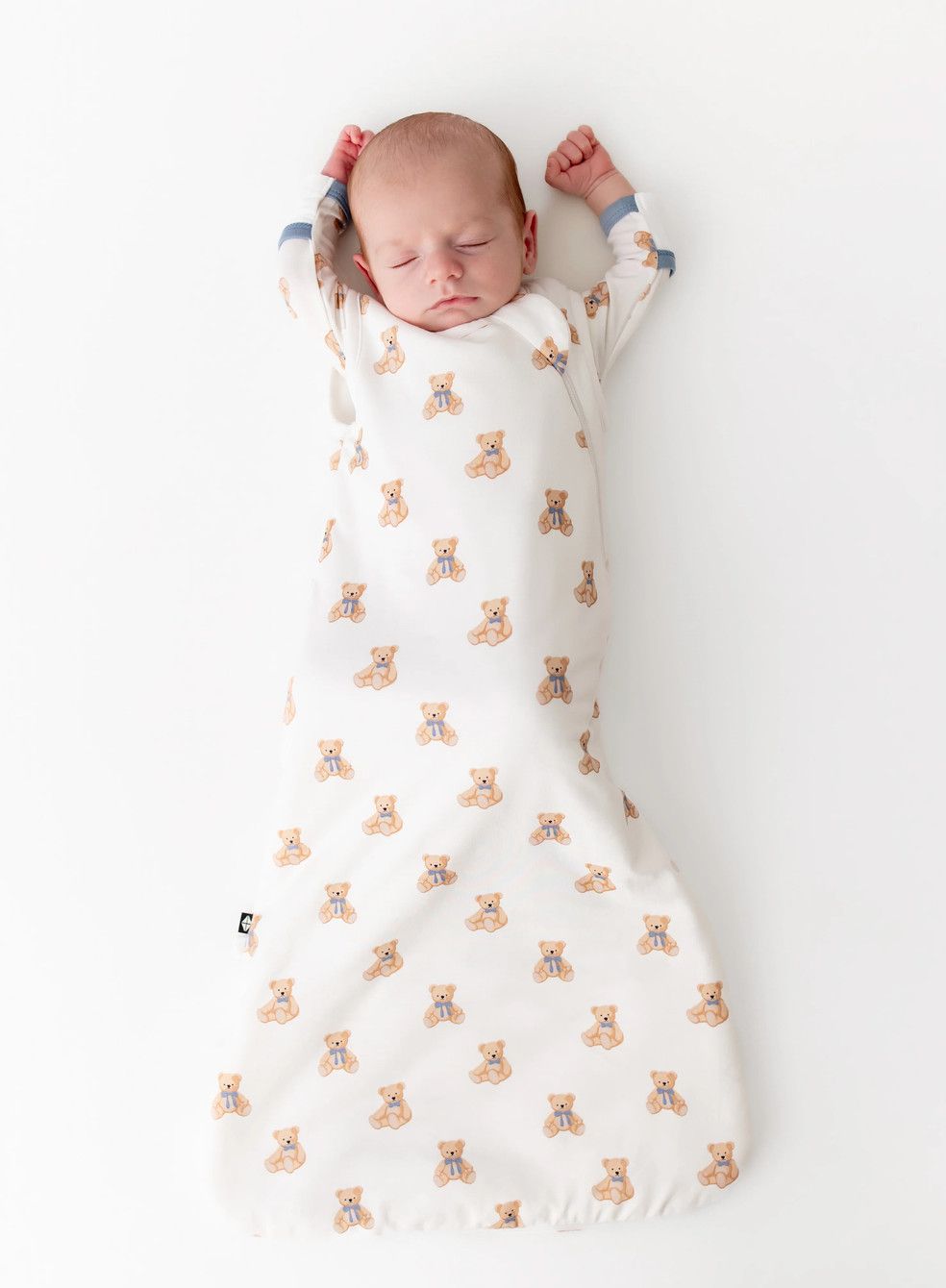 sleep bag 1.0- teddy bear
