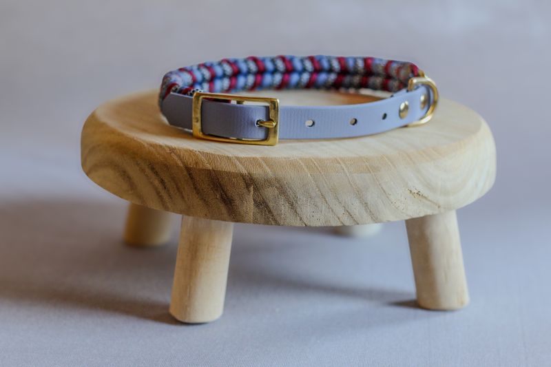 Halsband "Gassigold"